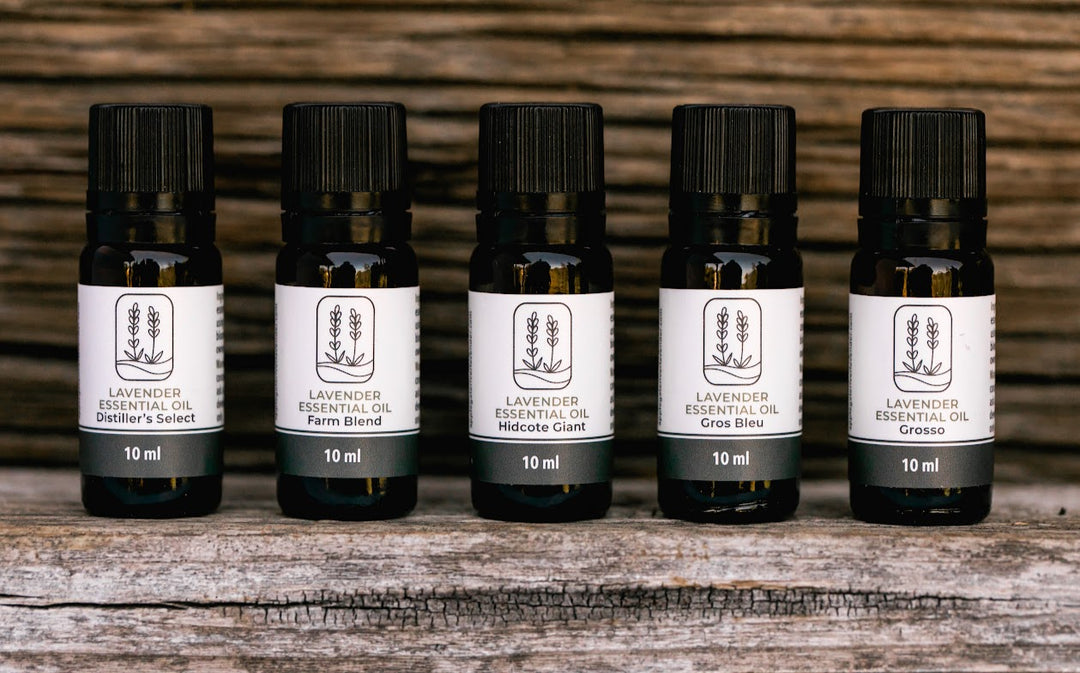 Essential Oil & Buds