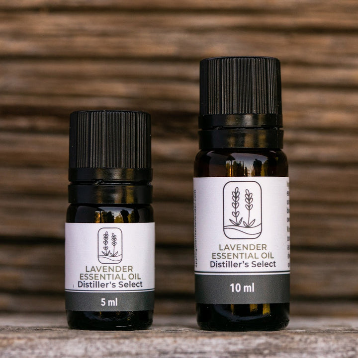 Lavender Essential Oils - 5 Varieties