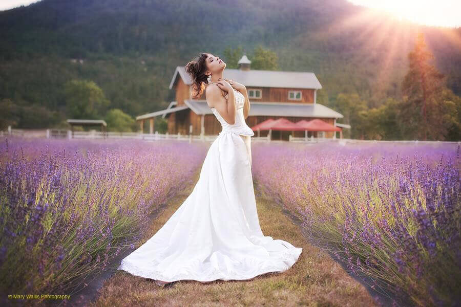 Lavender Photography Reservation