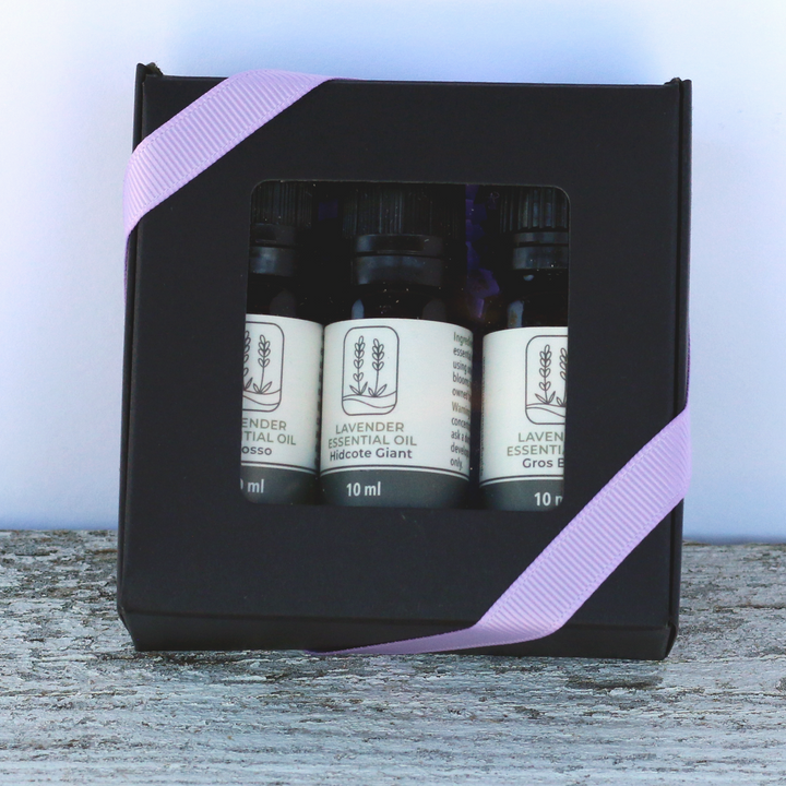 Lavender Essential Oil Flight