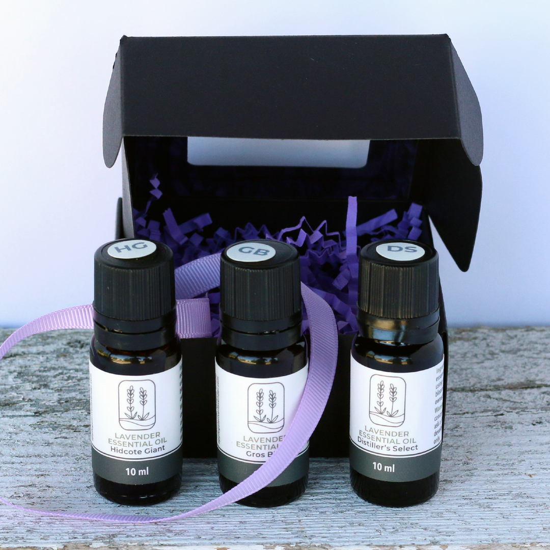 Lavender Essential Oil Flight