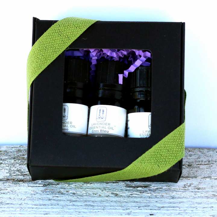 Lavender Essential Oil Flight