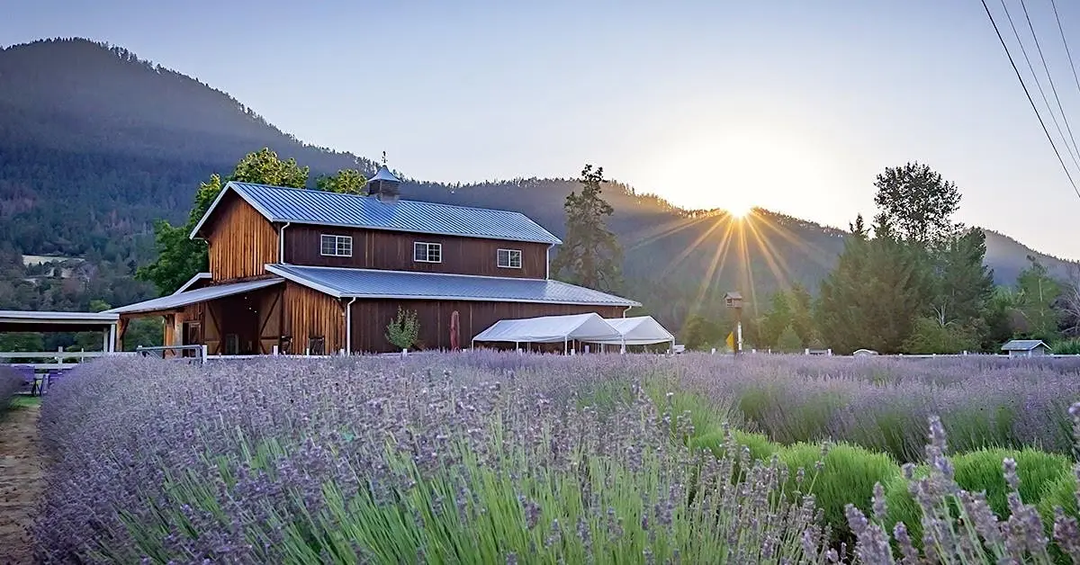 Hands-On Culinary Lavender Workshop and Luncheon - June 27, 2026 10am-12:30pm